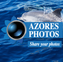 Azores Photos banner