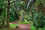 Jardins românticos